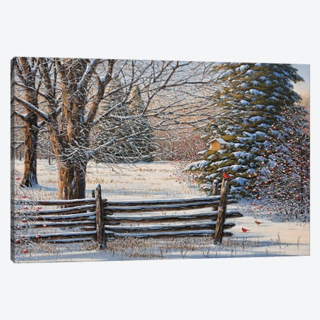 December Snow Canvas Print #JVB35} by Jake Vandenbrink Canvas Print