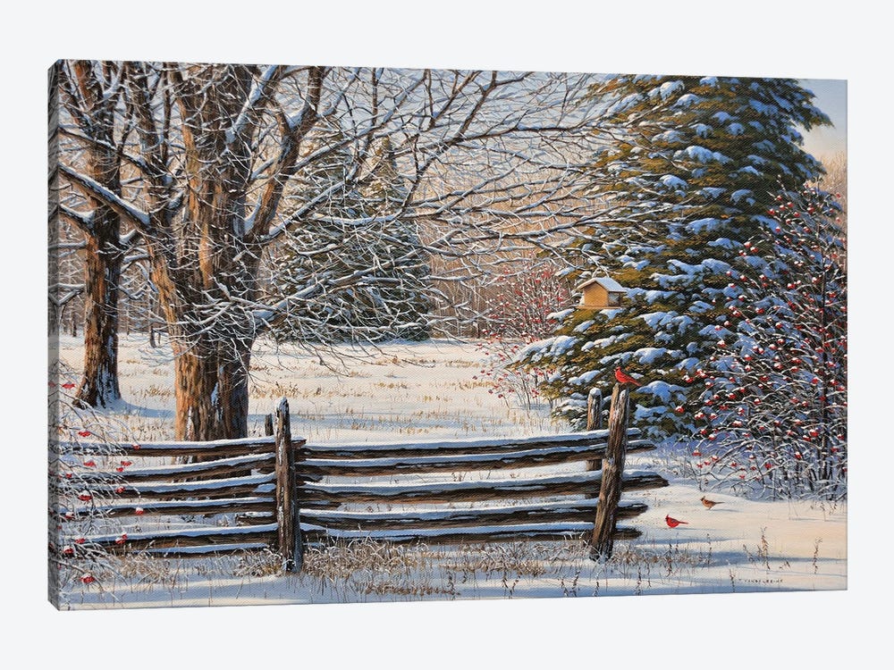 December Snow by Jake Vandenbrink 1-piece Canvas Wall Art