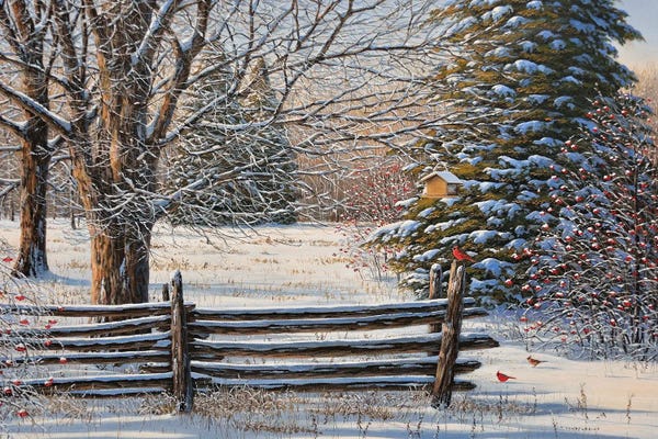 Canada: December Snow by Jake Vandenbrink