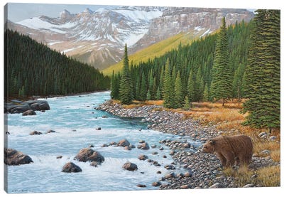 Grizzly Rapids Canvas Art Print - Bear Art