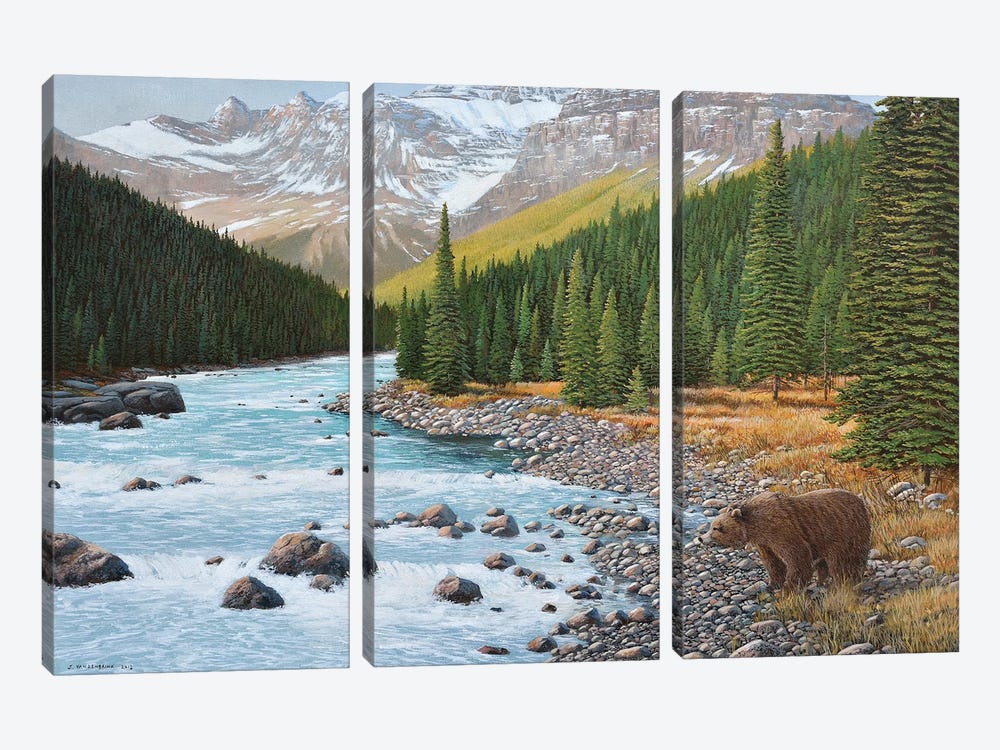 Grizzly Rapids by Jake Vandenbrink 3-piece Canvas Art