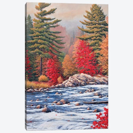 Red Maples, White Water Canvas Print #JVB42} by Jake Vandenbrink Canvas Print
