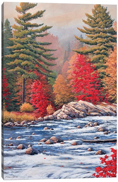 Red Maples, White Water Canvas Art Print - Lakehouse Décor