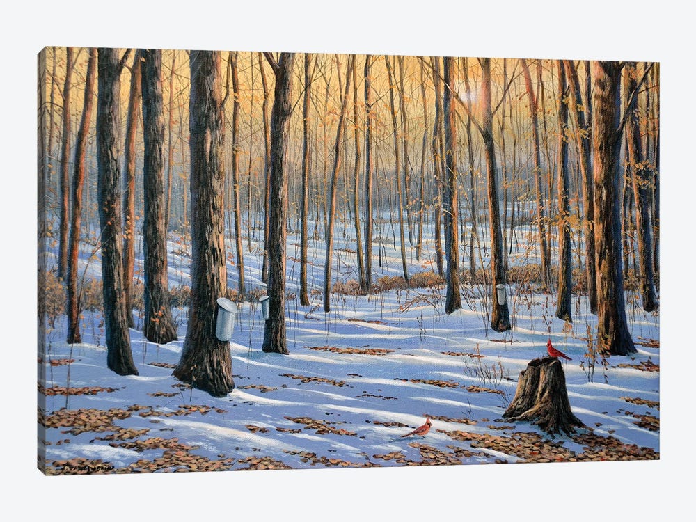 Welcoming The Sunrise by Jake Vandenbrink 1-piece Canvas Art