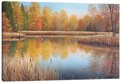 Autumn Arrivals Canvas Art Print - Jake Vandenbrink