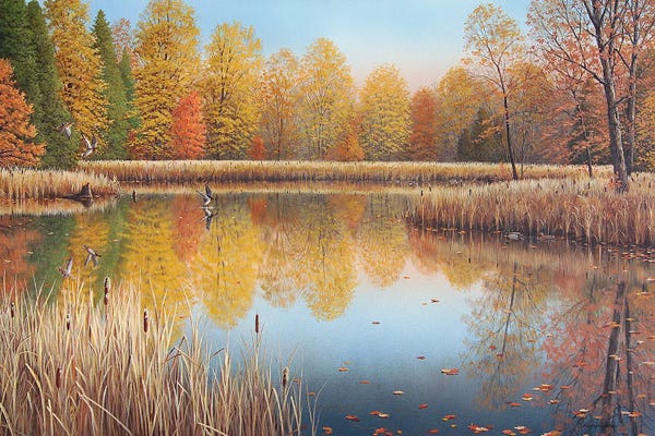 Canada: Autumn Arrivals by Jake Vandenbrink