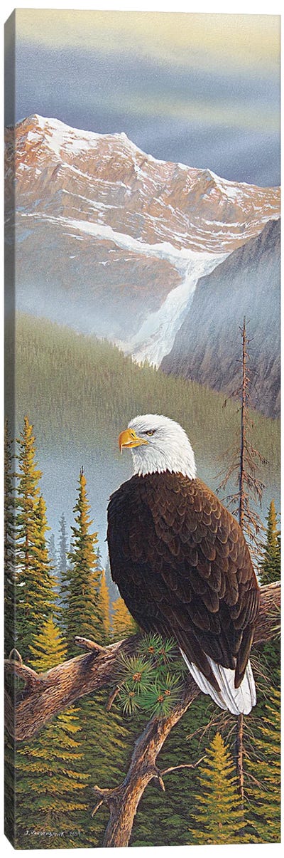 Vantage Point Canvas Art Print - Eagle Art
