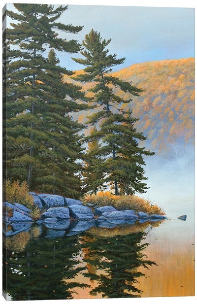 Peace And Quiet Canvas Art Print - Evergreen Tree Art