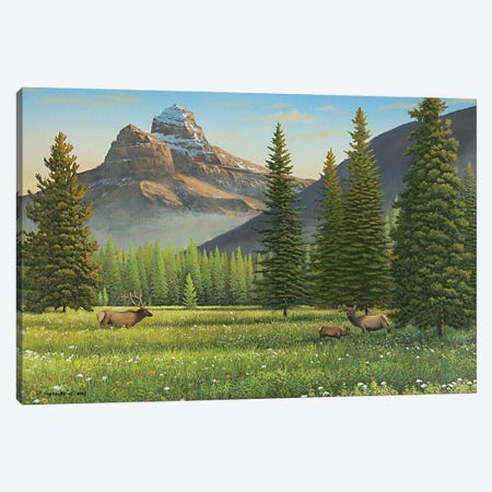 Summer In The Valley Canvas Print #JVB50} by Jake Vandenbrink Canvas Wall Art