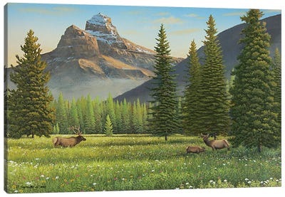 Summer In The Valley Canvas Art Print - Moose Art