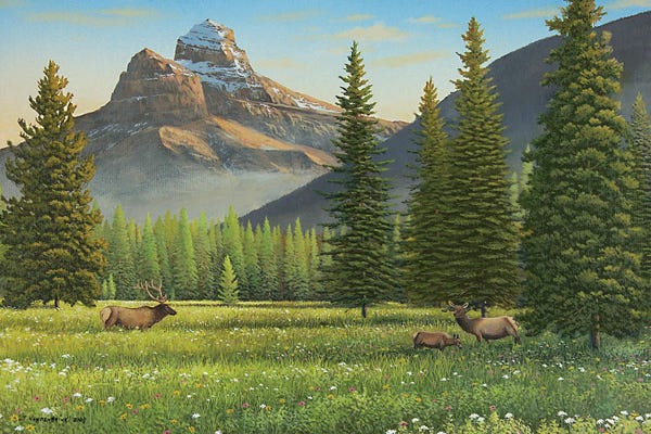 Lakehouse Décor: Summer In The Valley by Jake Vandenbrink