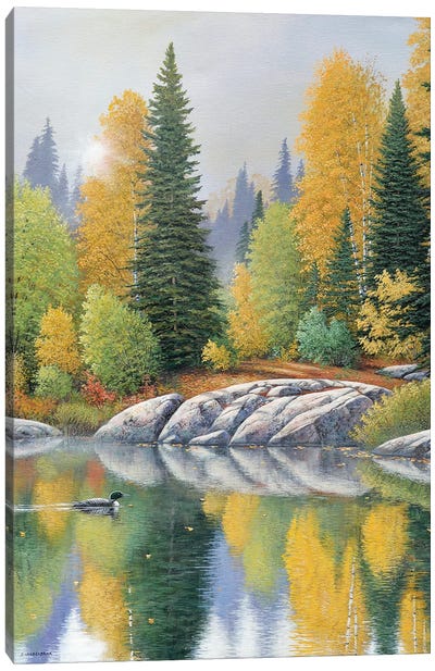 In The Autumn Air Canvas Art Print - Evergreen Tree Art