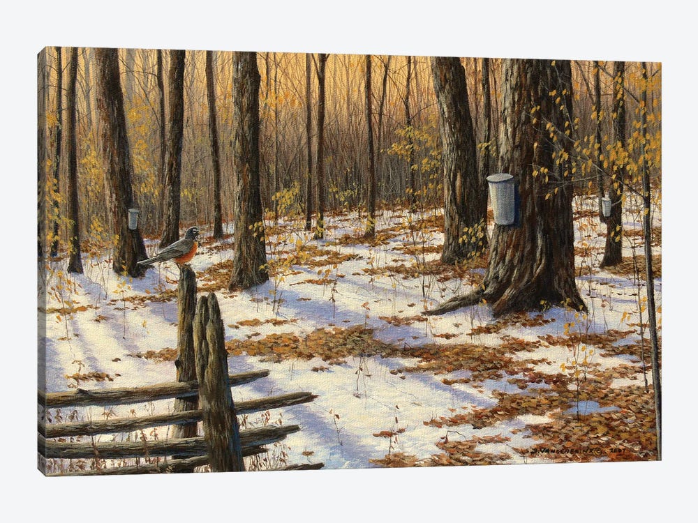 Changing Seasons by Jake Vandenbrink 1-piece Canvas Art Print