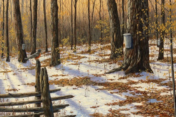 Lakehouse Décor: Changing Seasons by Jake Vandenbrink