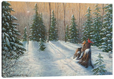 After The Snowfall Canvas Art Print - Jake Vandenbrink