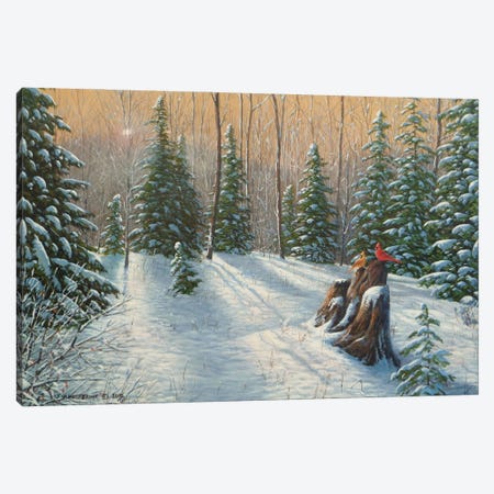 After The Snowfall Canvas Print #JVB57} by Jake Vandenbrink Canvas Art Print