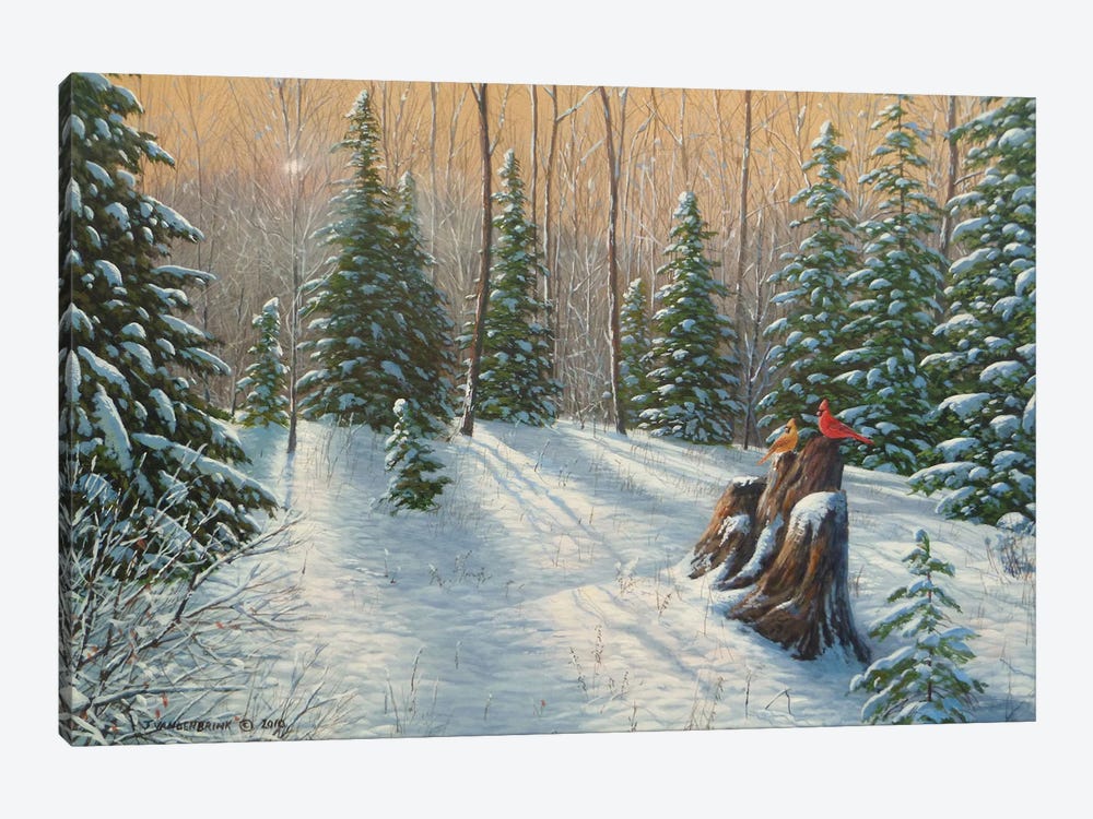 After The Snowfall by Jake Vandenbrink 1-piece Canvas Wall Art