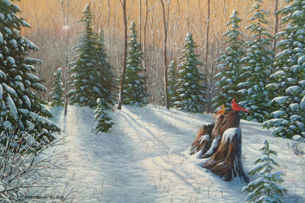 Canada: After The Snowfall by Jake Vandenbrink