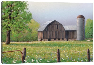 On That Warm Day Canvas Art Print - Farm Art