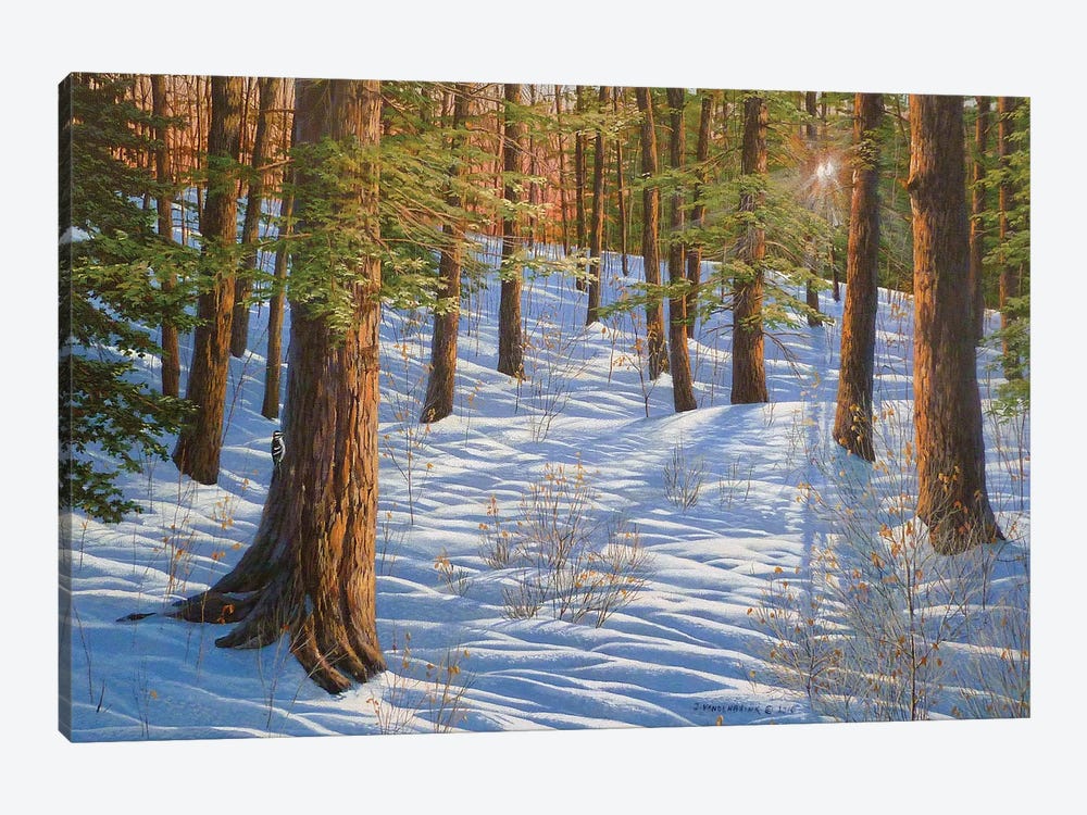 The Forest And The Light by Jake Vandenbrink 1-piece Canvas Artwork