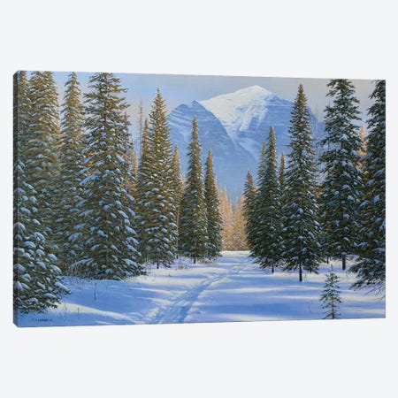 A Walk Through The Snow Canvas Print #JVB5} by Jake Vandenbrink Canvas Artwork