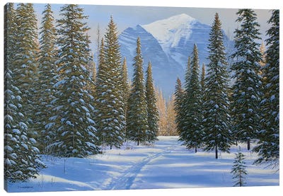 A Walk Through The Snow Canvas Art Print - Evergreen Tree Art