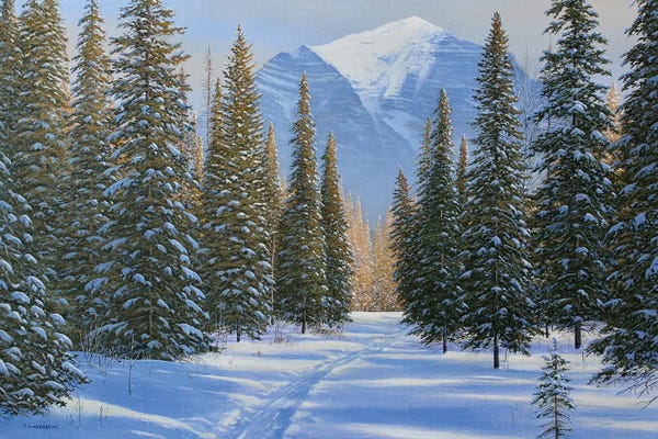 Refreshing Workspace: A Walk Through The Snow by Jake Vandenbrink