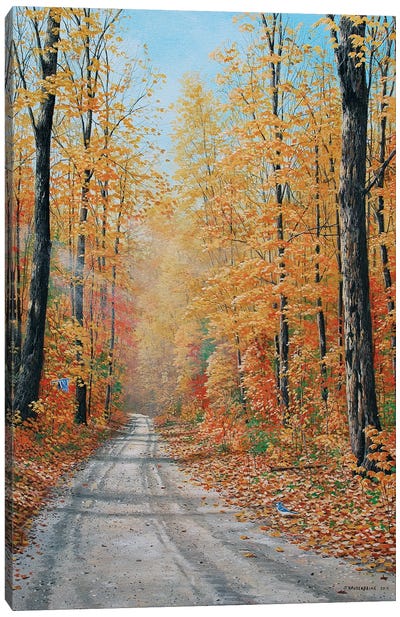Backroads Canvas Art Print - Canada Art