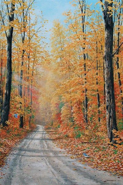 Refreshing Workspace: Backroads by Jake Vandenbrink