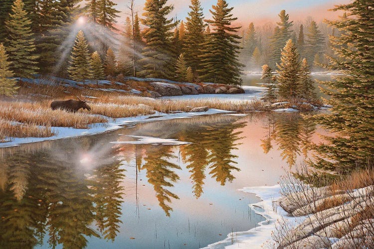 In The Spotlight by Jake Vandenbrink wall art