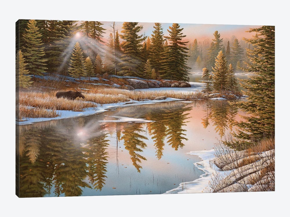In The Spotlight by Jake Vandenbrink 1-piece Canvas Print