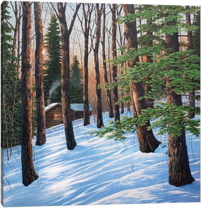 On A Winter's Morn Canvas Art Print - Evergreen Tree Art