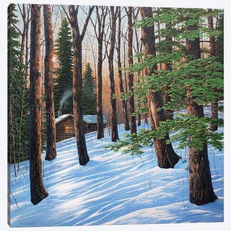 On A Winter's Morn Canvas Print #JVB67} by Jake Vandenbrink Canvas Wall Art