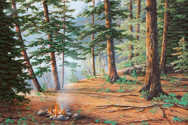 Camping: Outdoor Life by Jake Vandenbrink