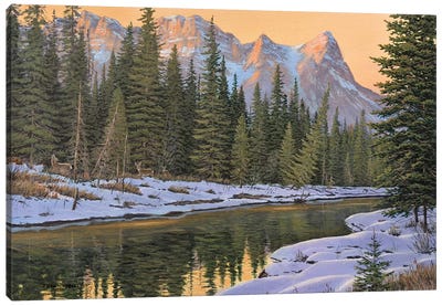 The Golden Hour Canvas Art Print - Evergreen Tree Art