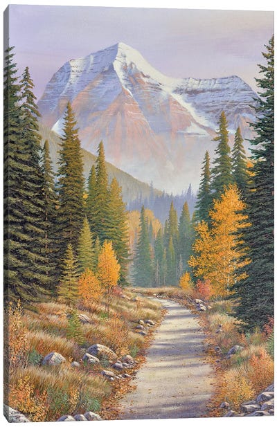 Path Of Discovery Canvas Art Print - Aspen Tree Art