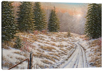 Down The Lane Canvas Art Print - Evergreen Tree Art