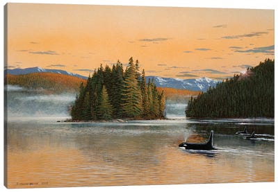 Sunset Passage Canvas Art Print - Orca Whale Art