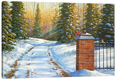 A Winter's Welcome Canvas Art Print - Jake Vandenbrink