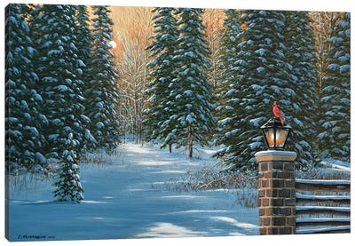 On A Winter's Light Canvas Art Print - Cardinal Art
