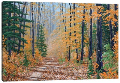 A Walk In The Woods Canvas Art Print - Jake Vandenbrink