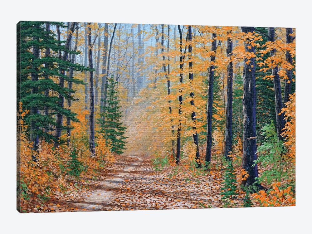 A Walk In The Woods by Jake Vandenbrink 1-piece Canvas Artwork