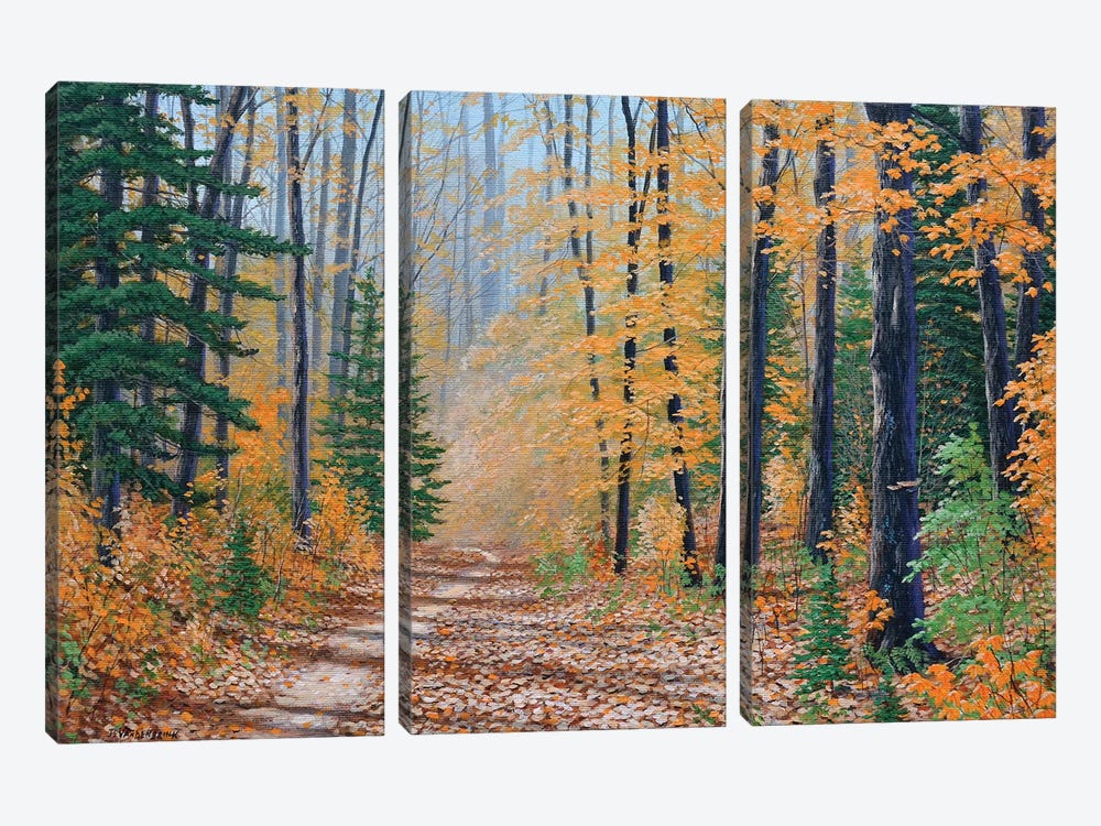 A Walk In The Woods by Jake Vandenbrink 3-piece Canvas Artwork