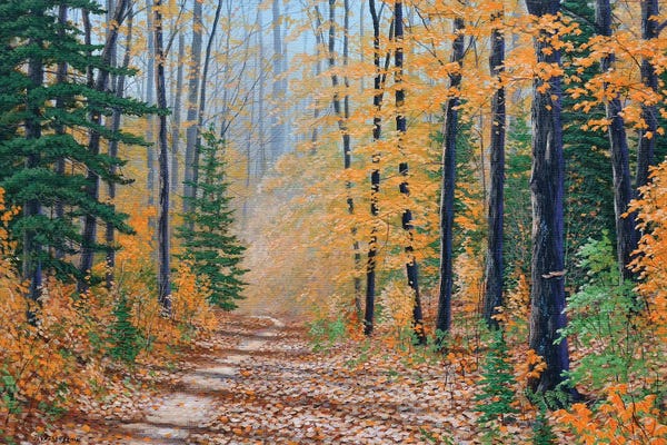 Refreshing Workspace: A Walk In The Woods by Jake Vandenbrink