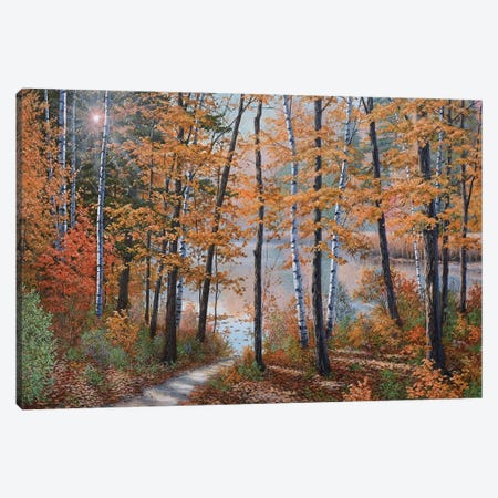 The Light Of Fall Canvas Print #JVB94} by Jake Vandenbrink Canvas Print