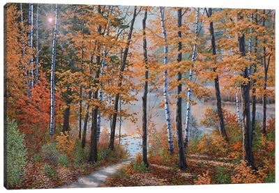 The Light Of Fall Canvas Art Print - Cabin & Lodge Décor