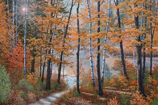 Large Wall Art & Big Canvas Prints: The Light Of Fall by Jake Vandenbrink