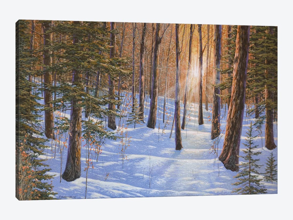 Follow The Light by Jake Vandenbrink 1-piece Canvas Print