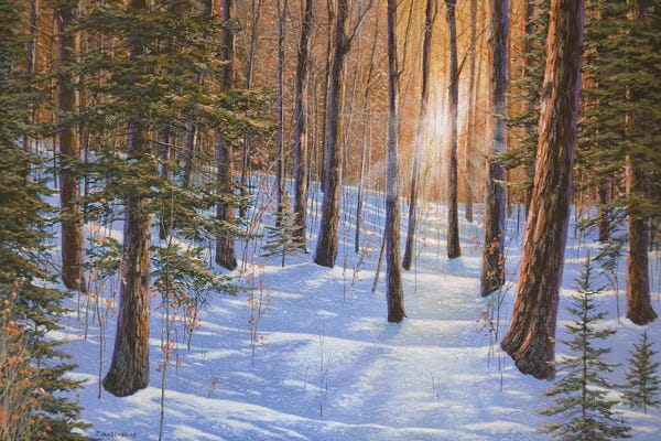 Rustic Winter: Follow The Light by Jake Vandenbrink