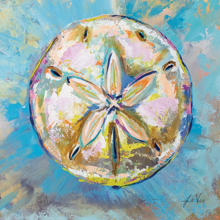 Sand Dollar